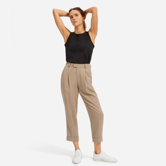EVERLANE The Put-Together Pleat Pant - Picture 1 of 14